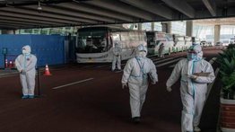 Equipo de expertos de la OMS llega a Wuhan para buscar el origen del virus