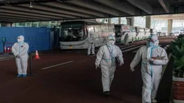Equipo de expertos de la OMS llega a Wuhan para buscar el origen del virus