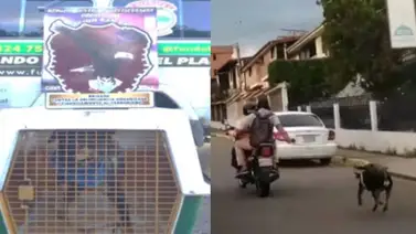 Hombre que arrastra a su perro con mecate es detenido en San Cristóbal Hombre que arrastra a su perro con mecate es detenido en San Cristóbal