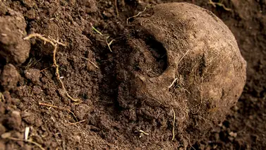 Descubren otra fosa clandestina con el séptimo cadáver enterrado Descubren otra fosa clandestina con el séptimo cadáver enterrado