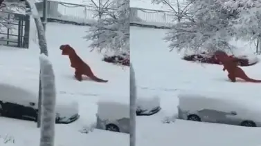 Un dinosaurio se pasea por la nieve en Madrid (+Videos) Un dinosaurio se pasea por la nieve en Madrid (+Videos)
