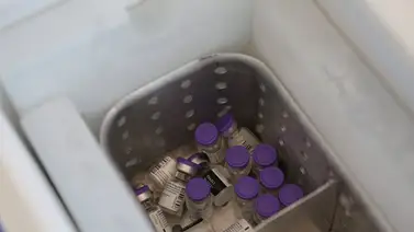 México podría permitir a privados comprar vacuna para COVID México podría permitir a privados comprar vacuna para COVID