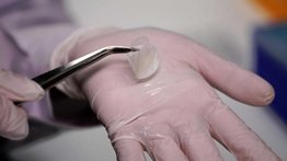 Científicos crean piel artificial que te puede volver invisible