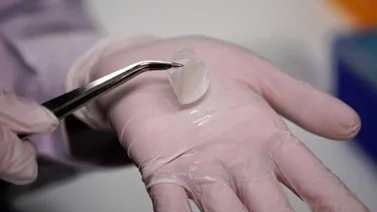 Científicos crean piel artificial que te puede volver invisible