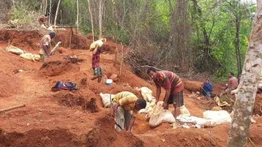 Reportan 12 personas desaparecidas este año en minas de Bolívar