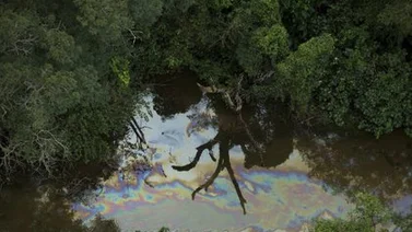 Denuncian nuevo vertido de petróleo en Venezuela