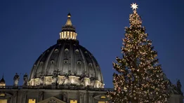 Vaticano inaugura pesebre y enciende árbol de Navidad