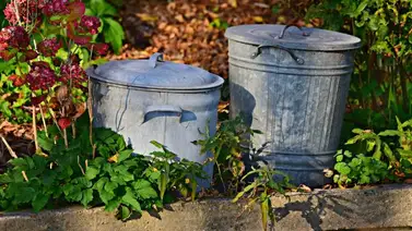 Un hombre en EEUU descubre un cadáver en basura que un amigo le dio a guardar Un hombre en EEUU descubre un cadáver en basura que un amigo le dio a guardar