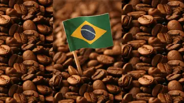 Brasil registró en noviembre nuevo récord en sus exportaciones de café Brasil registró en noviembre nuevo récord en sus exportaciones de café