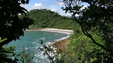 Grupo de animales toma WhatsApp para hacer conciencia sobre bosques de Nicaragua Grupo de animales toma WhatsApp para hacer conciencia sobre bosques de Nicaragua