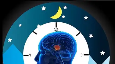 ¿Conoces los meridianos energéticos de tu cuerpo? ¿Conoces los meridianos energéticos de tu cuerpo?