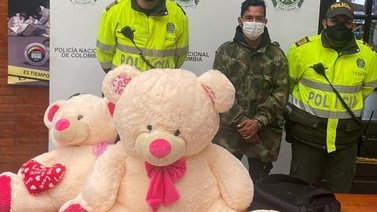 Desarticulada banda que enviaba marihuana en peluches a Ecuador