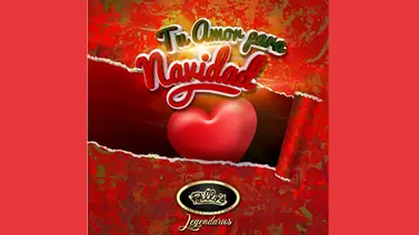 Homenaje a Billo’s presenta tema `Tu amor para Navidad´ (+vídeo) Homenaje a Billo’s presenta tema `Tu amor para Navidad´ (+vídeo)