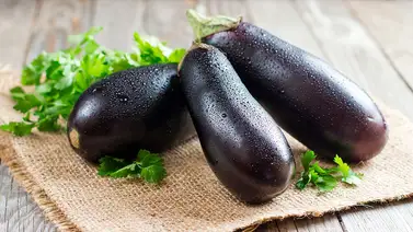 Berenjena, sana y rendidora +receta Berenjena, sana y rendidora +receta