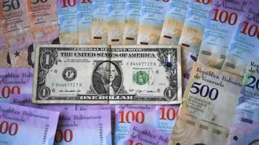 El dólar cada vez está más cerca de los 800: 773.452,59 bs