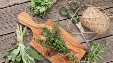 Conoce cuáles son las mejores hierbas aromáticas para cocinar Conoce cuáles son las mejores hierbas aromáticas para cocinar