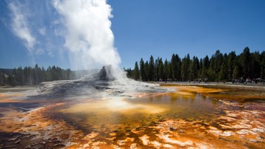 Cocinan pollos en aguas termales de parque Yellowstone