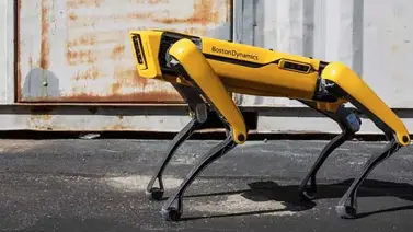 VIDEO: El perro robot de Boston Dynamics ahora sirve cervezas VIDEO: El perro robot de Boston Dynamics ahora sirve cervezas