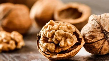 Las nueces, un excelente complemento nutritivo