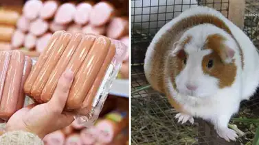 Jóvenes crean "salchicha de cuy" y ganan 5 mil dólares Jóvenes crean "salchicha de cuy" y ganan 5 mil dólares