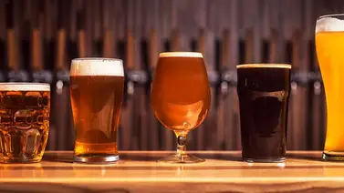 Los vieneses podrán votar "Cerveza" en las elecciones municipales del domingo Los vieneses podrán votar "Cerveza" en las elecciones municipales del domingo