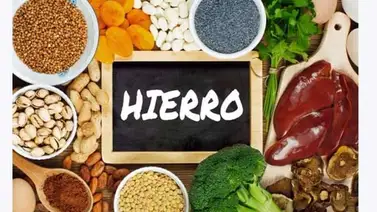 Importancia del hierro en el organismo Importancia del hierro en el organismo