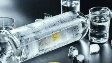 Vodka: un destilado con carácter