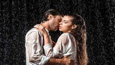 Anímate a disfrutar la "Lluvia Dorada"