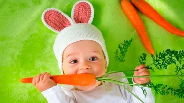 Seguir nutriendo al bebé