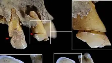 Hace casi 4.000 años ya había trabajos especializados por sexos Hace casi 4.000 años ya había trabajos especializados por sexos