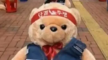 Corea del Sur vive una protesta de osos de peluche Corea del Sur vive una protesta de osos de peluche