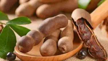 El tamarindo: fuente rica en vitaminas El tamarindo: fuente rica en vitaminas