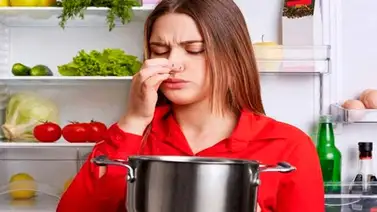 Elimina los malos olores en casa y más Elimina los malos olores en casa y más