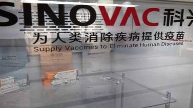 La vacuna china de Sinovac podrá aplicarse masivamente a principios de 2021
