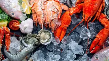 Delicias del mar: mariscos, moluscos y crustáceos Delicias del mar: mariscos, moluscos y crustáceos