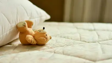 Colchones libres de ácaros Colchones libres de ácaros