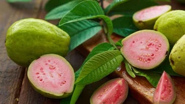 El sabor tropical de la guayaba