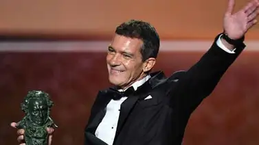 La 35 edición de los Premios Goya se celebrará el 6 de marzo en Málaga La 35 edición de los Premios Goya se celebrará el 6 de marzo en Málaga