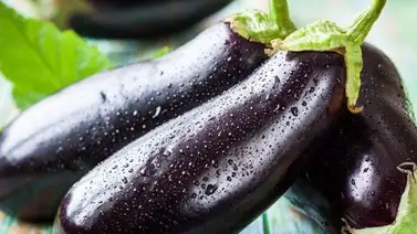 Conoce los beneficios de la berenjena Conoce los beneficios de la berenjena