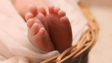 Autorizan el primer buzón para abandonar bebés en Bruselas