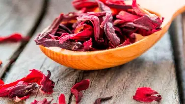 Beneficios de la flor de Jamaica Beneficios de la flor de Jamaica
