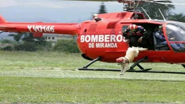 Bomberos de Miranda informan la muerte del perro rescatista Orión (+Fotos)