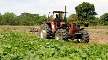AgroVenezuela suma 11 vértices para la producción de alimentos AgroVenezuela suma 11 vértices para la producción de alimentos