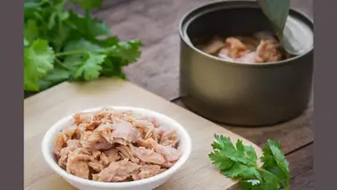 Recetas fáciles con atún en lata Recetas fáciles con atún en lata