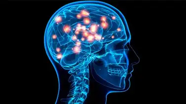 Estos hábitos matan tus neuronas Estos hábitos matan tus neuronas