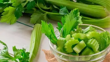 El célery: una hortaliza diurética y antioxidante El célery: una hortaliza diurética y antioxidante