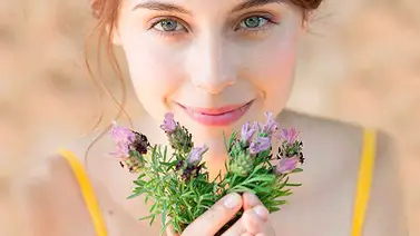 Agua de romero para evitar la caída del cabello Agua de romero para evitar la caída del cabello