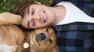 Las mejores películas con perros