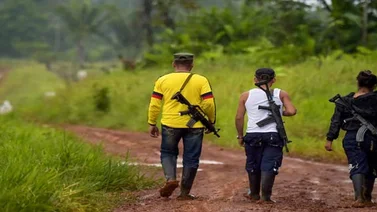 Asesinan a cinco personas cuando erradicaban cultivos ilícitos en Colombia