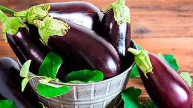 Beneficios y propiedades de la berenjena Beneficios y propiedades de la berenjena